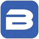 Bodyviz logo