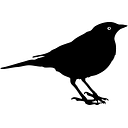 BOE Technology logo