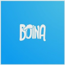 BOINA LTD logo