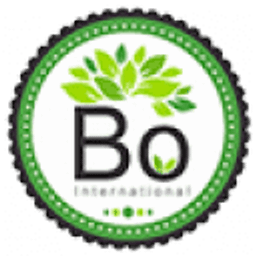 Bo International logo