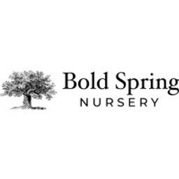 boldspring.com