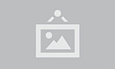 bomba15.com logo