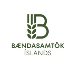 bondi.is