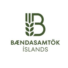 bondi.is