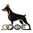 Bonds Dobermans