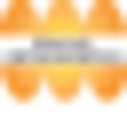 bonitaortho.com