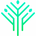 Bonsai Micro