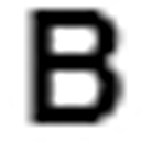 bonzishop.com icon