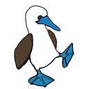 Booby