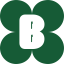Boombrush.com logo