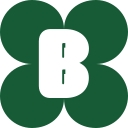 Favicon of Boombrush
