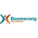 STEM Boomerang