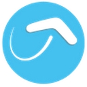 Boomerang Information Services, Inc. logo