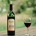 BORDELEAU VINEYARDS WINERY