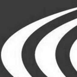 Borehole Seismic, LLC logo