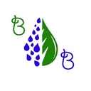 Borelli Brothers Landscaping logo