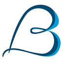 2B Organized logo