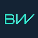 BorgWarner logo — hiring for Senior Systems Engineer
