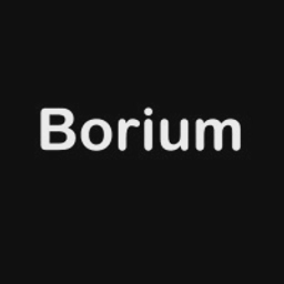 BORIUM STUDIO LIMITED logo