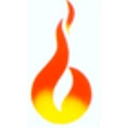 Born Inc logo
