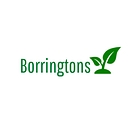 Borringtons logo