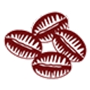 Bostonbean Coffee Company logo