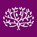 Boston Brain Center