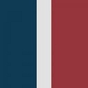 Boston Center For Independent Living logo