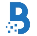 Boston It Services Inc logo