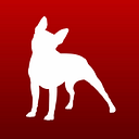 Boston Terrier World
