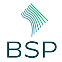 Boundary Stone Partners