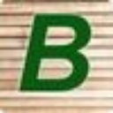 Bourne Industries Inc logo