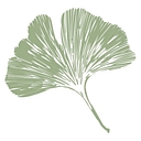 Bournewood Health Systems