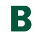 Careers Bowman logo