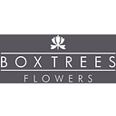 Boxtreesflowers logo