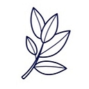Boxwood Home Interiors logo