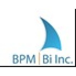 BPM BI logo