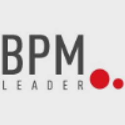 bpmleader.com