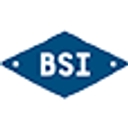 Bracing Systems Inc logo
