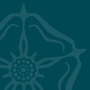 Brackenfield School logo