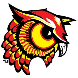 Bradford Area HS logo