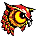 Bradford Area SD logo