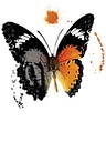 Bradley & Son Funeral Homes logo