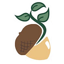 Brady Education Foundation logo