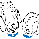 The Brady Hunter Foundation Inc logo
