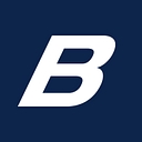 Braeburn Systems Llc logo