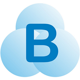 Braina logo