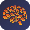 Brainbloom logo