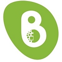 BRAINDIGIT