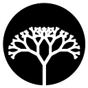 Braingrid logo